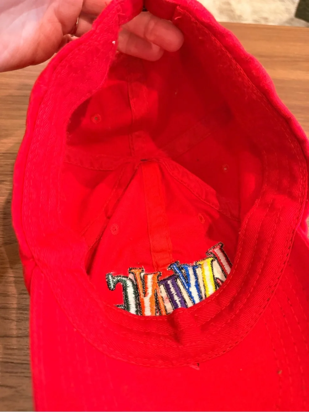 VTG Living Single Red 90's Dad Hat Embroidered Stitched Rainbow Adjustable